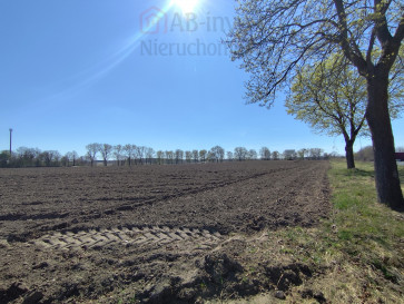 Działka Sprzedaż Wojcieszyn