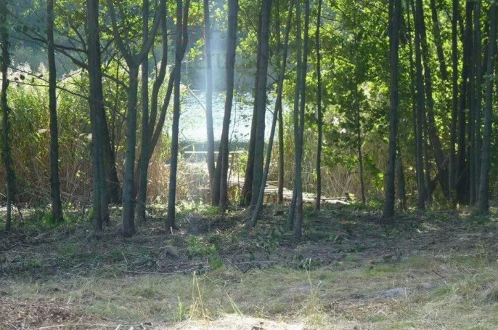 Działka Sprzedaż Zieleniewo 5