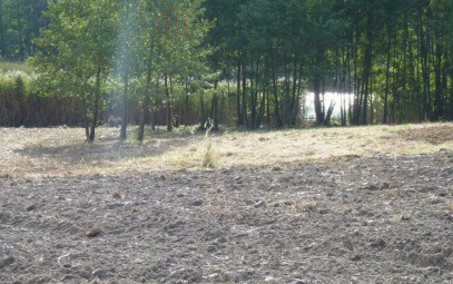 Działka Sprzedaż Zieleniewo