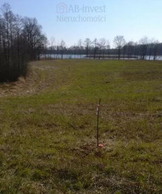 Działka Sprzedaż Kaszewo