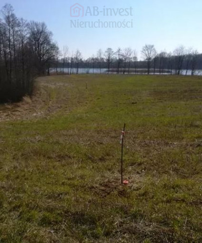 Działka Sprzedaż Kaszewo 5