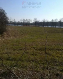 Działka Sprzedaż Kaszewo