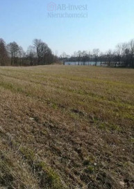 Działka Sprzedaż Kaszewo