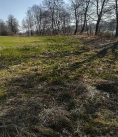 Działka Sprzedaż Kaszewo