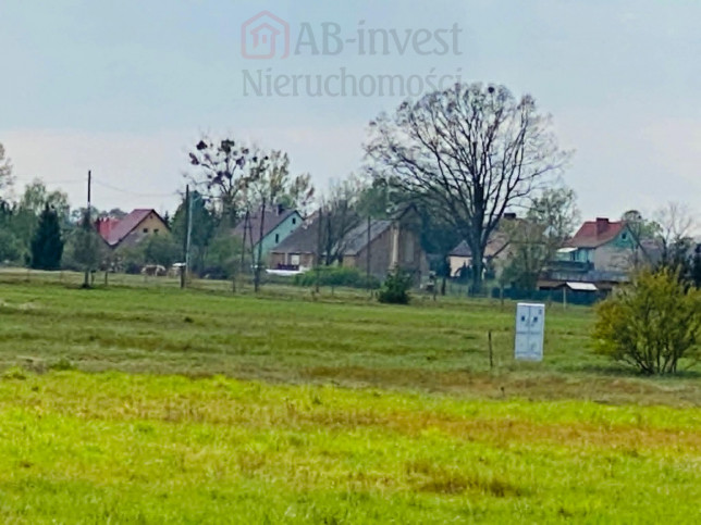 Działka Sprzedaż Miłowo 1