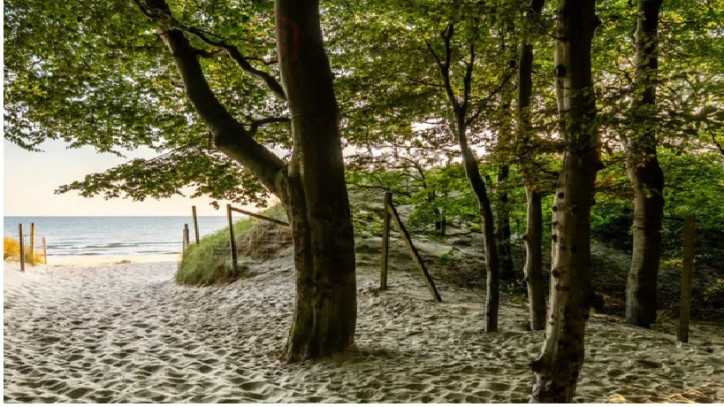 Mieszkanie Sprzedaż Grzybowo Nadmorska 5
