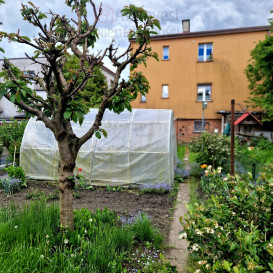 Mieszkanie Sprzedaż Goleniów Marii Dąbrowskiej