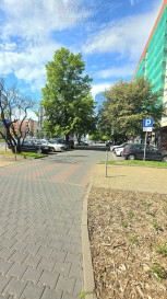 Mieszkanie Sprzedaż Szczecin Centrum al.&nbsp;Wyzwolenia