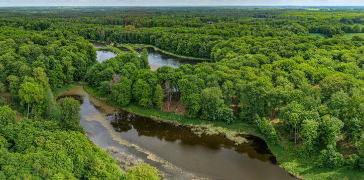 Działka Sprzedaż Wisławie 3
