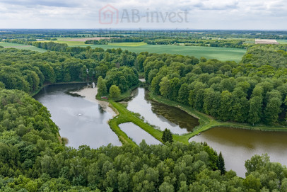 Działka Sprzedaż Wisławie