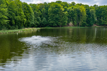 Działka Sprzedaż Wisławie
