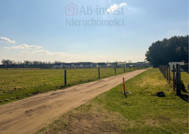 Działka Sprzedaż Białuń Jarzębinowa
