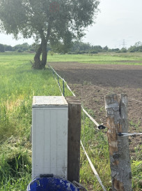 Działka Sprzedaż Przęsocin