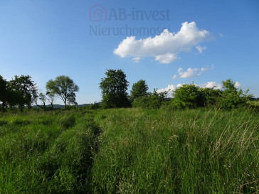 Działka Sprzedaż Binowo