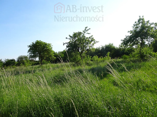 Działka Sprzedaż Binowo 12