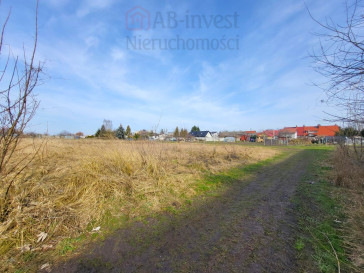 Działka Sprzedaż Koszewo
