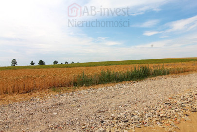 Działka Sprzedaż Bielkowo