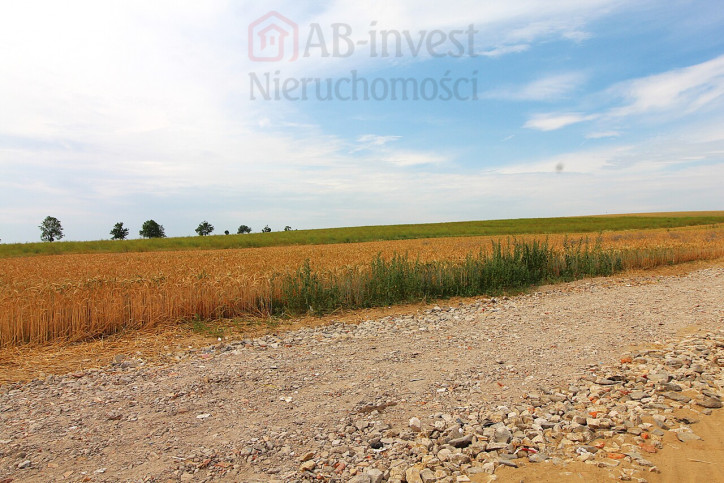 Działka Sprzedaż Bielkowo 3