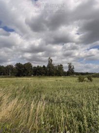 Działka Sprzedaż Niedźwiedź