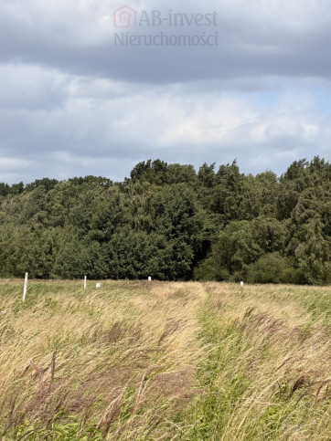 Działka Sprzedaż Niedźwiedź 5