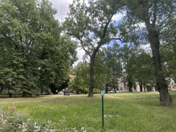 Mieszkanie Sprzedaż Szczecin Centrum Stanisława Więckowskiego