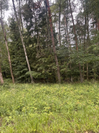 Działka Sprzedaż Piaseczno