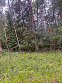 Działka Sprzedaż Piaseczno