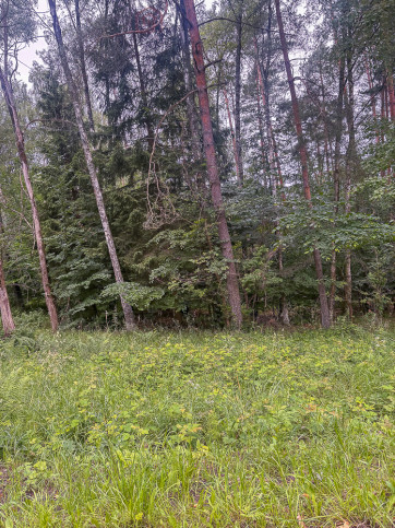 Działka Sprzedaż Piaseczno 8