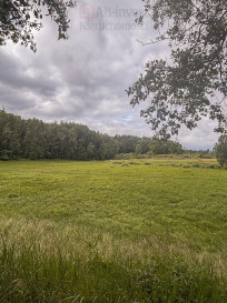 Działka Sprzedaż Piaseczno