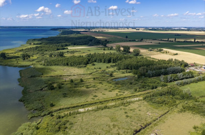 Działka Sprzedaż Wierzbno
