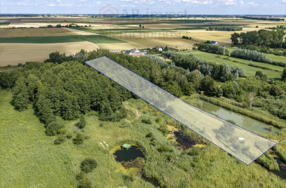 Działka Sprzedaż Wierzbno
