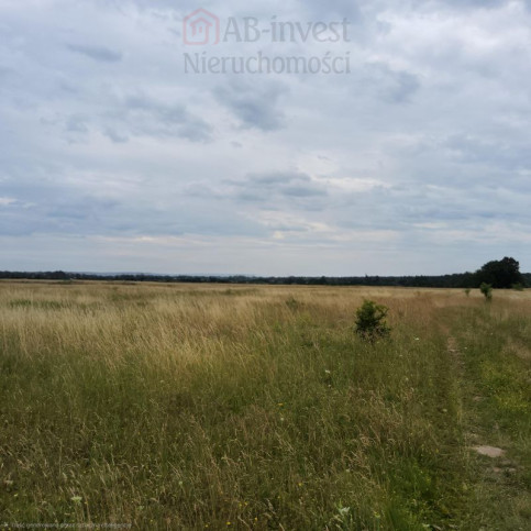 Działka Sprzedaż Buk 3