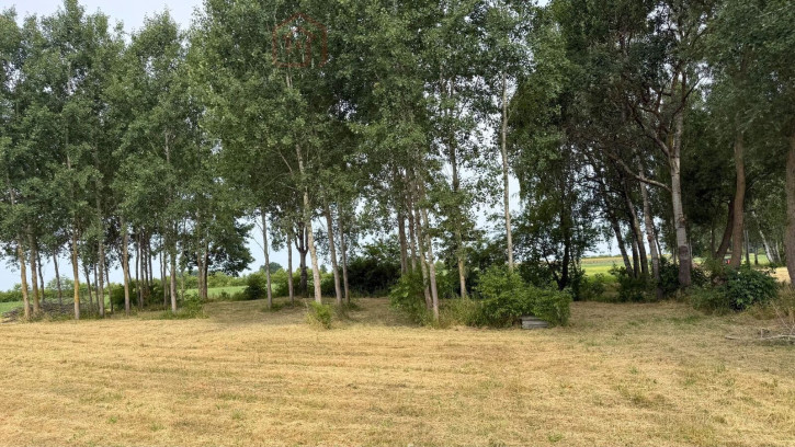 Działka Sprzedaż Marszewo 3