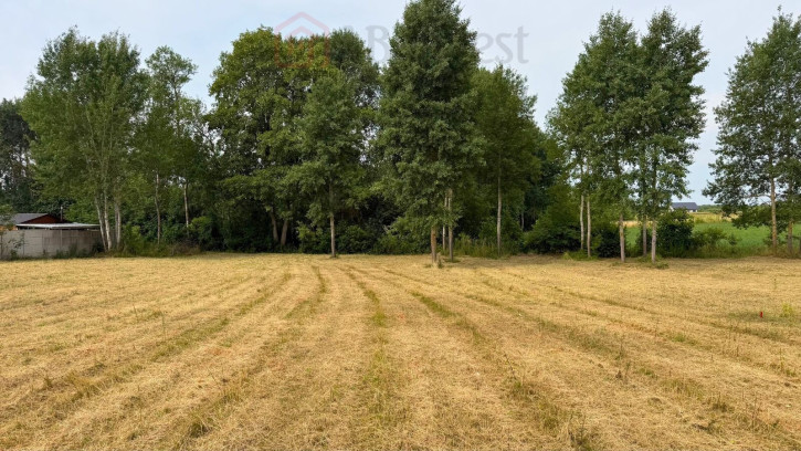 Działka Sprzedaż Marszewo 4