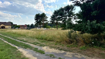 Działka Sprzedaż Modrzewie
