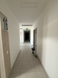 Mieszkanie Wynajem Rajkowo Spokojna
