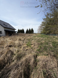 Działka Sprzedaż Rurzyca Skryta