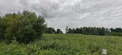 Działka Sprzedaż Stepnica