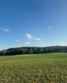Działka Sprzedaż Buk