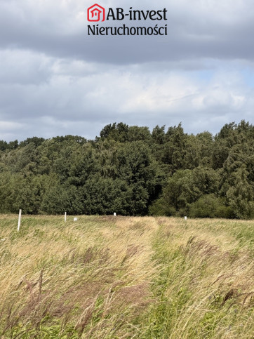 Działka Sprzedaż Niedźwiedź 5