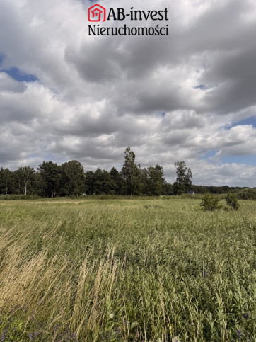 Działka Sprzedaż Niedźwiedź 8