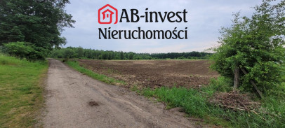 Działka Sprzedaż Binowo