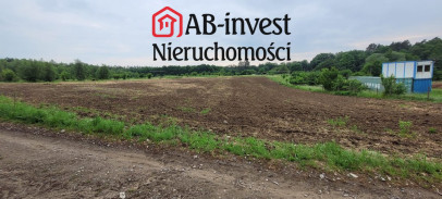 Działka Sprzedaż Binowo