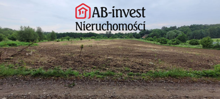 Działka Sprzedaż Binowo 4