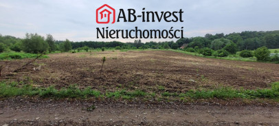 Działka Sprzedaż Binowo