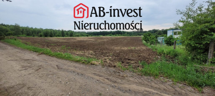 Działka Sprzedaż Binowo 9