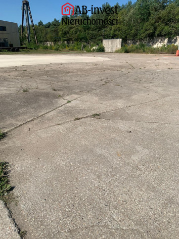 Działka Wynajem Goleniów 2