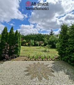 Dom Sprzedaż Oraczewice