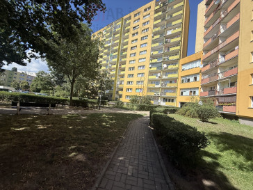 Mieszkanie Sprzedaż Szczecin os. Bukowe Jasna