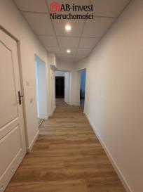 Lokal Wynajem Szczecin Śródmieście-Centrum